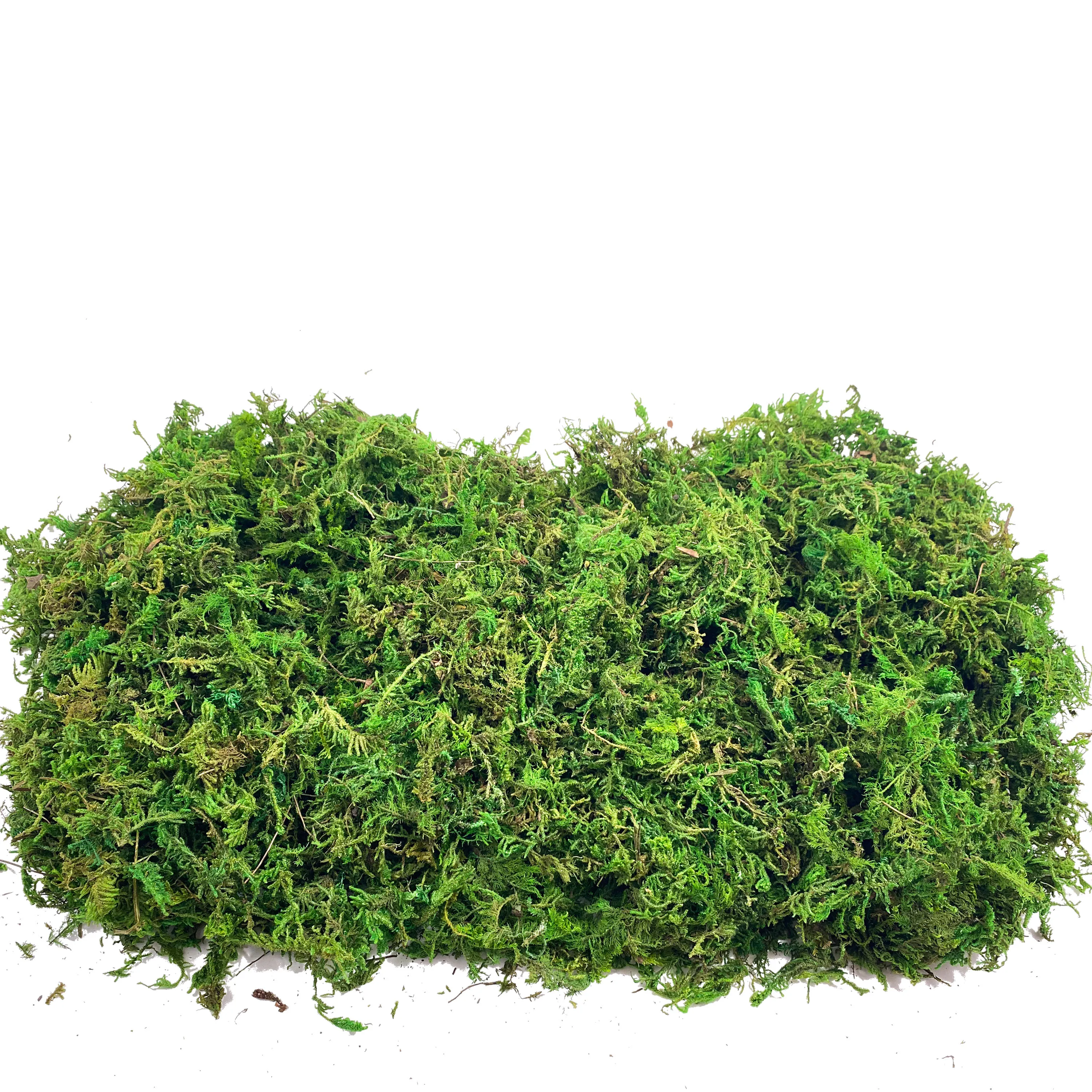 Aquarium Plant Root Tabs - Fake Moss Artificial Moss for Potted