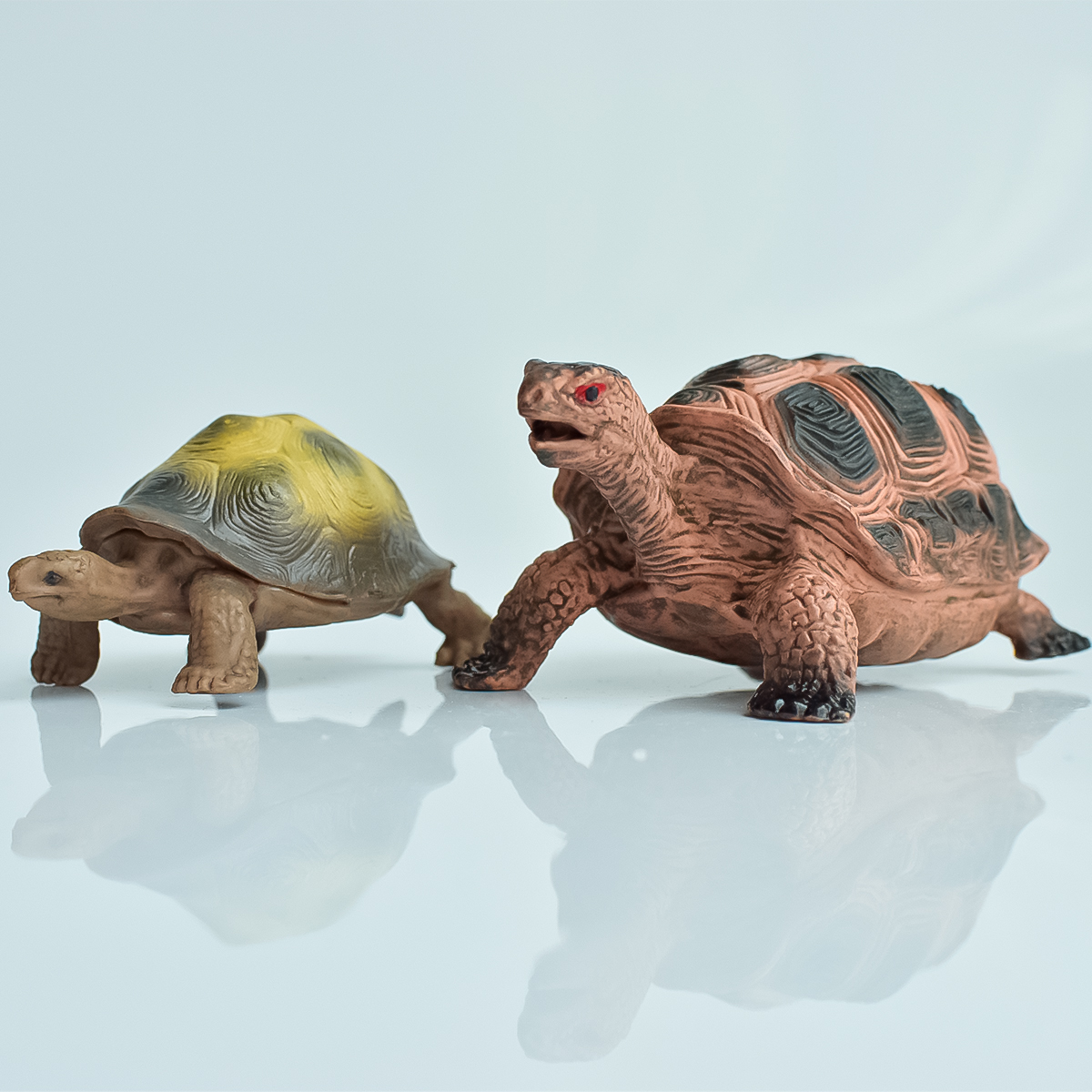 Aquarium Planted Aquarium - Painted Realistic Animal Turtle | Aquatic
