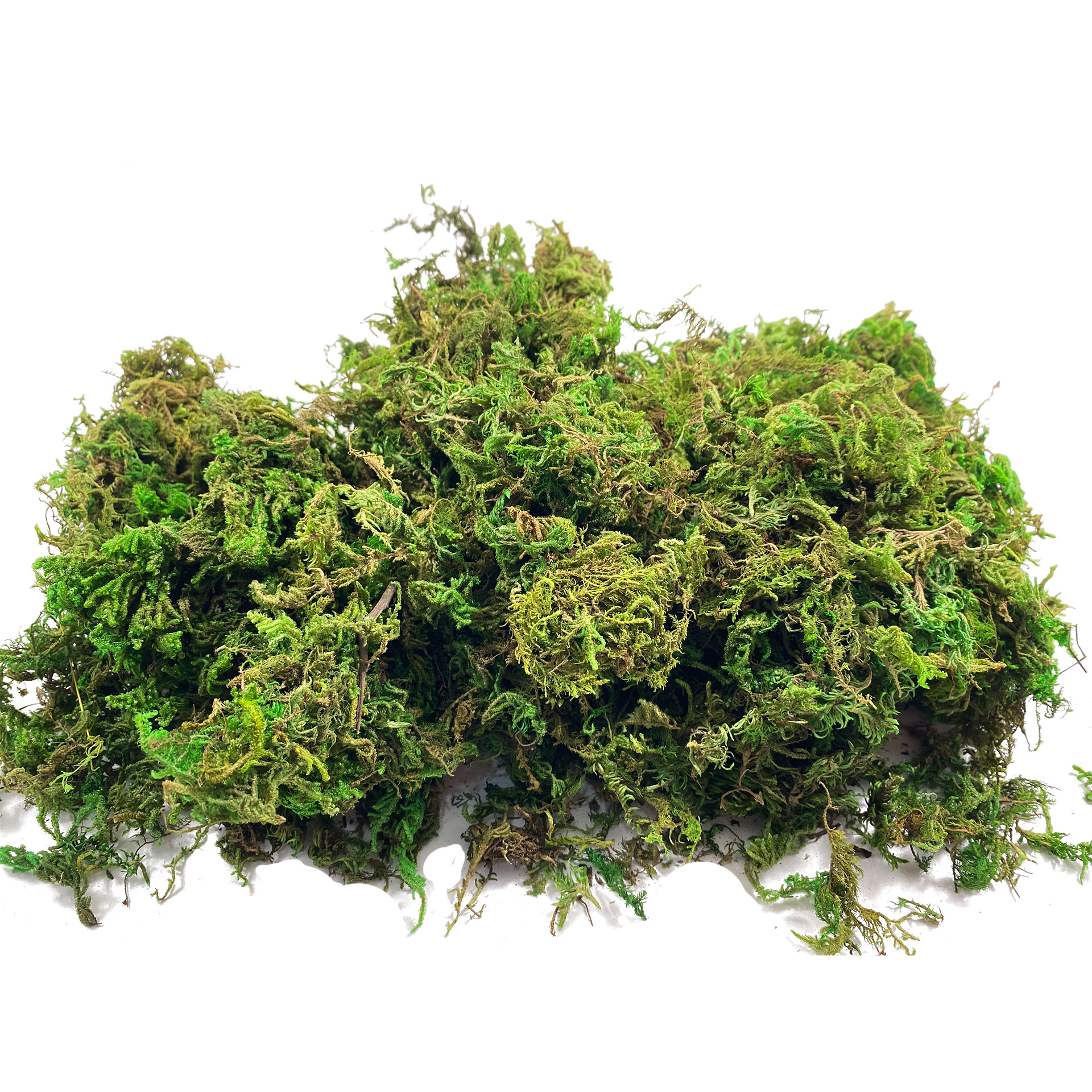 Aquarium Plant Root Tabs - Artificial Fake Moss, Craft Moss for