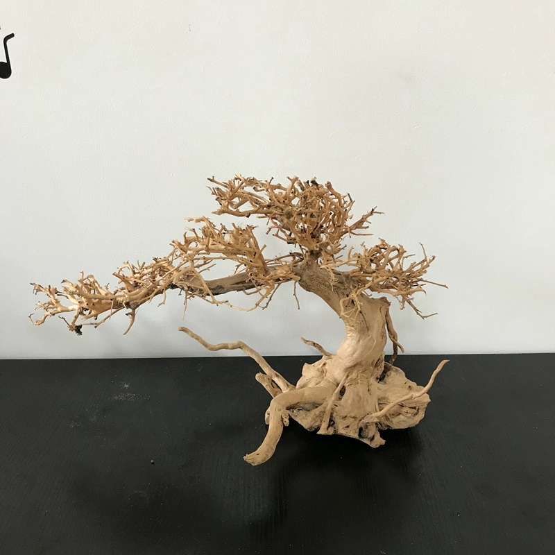 Aquarium Plant On Wood - 100% Handcraft Aquarium Bonsai Driftwood Moss