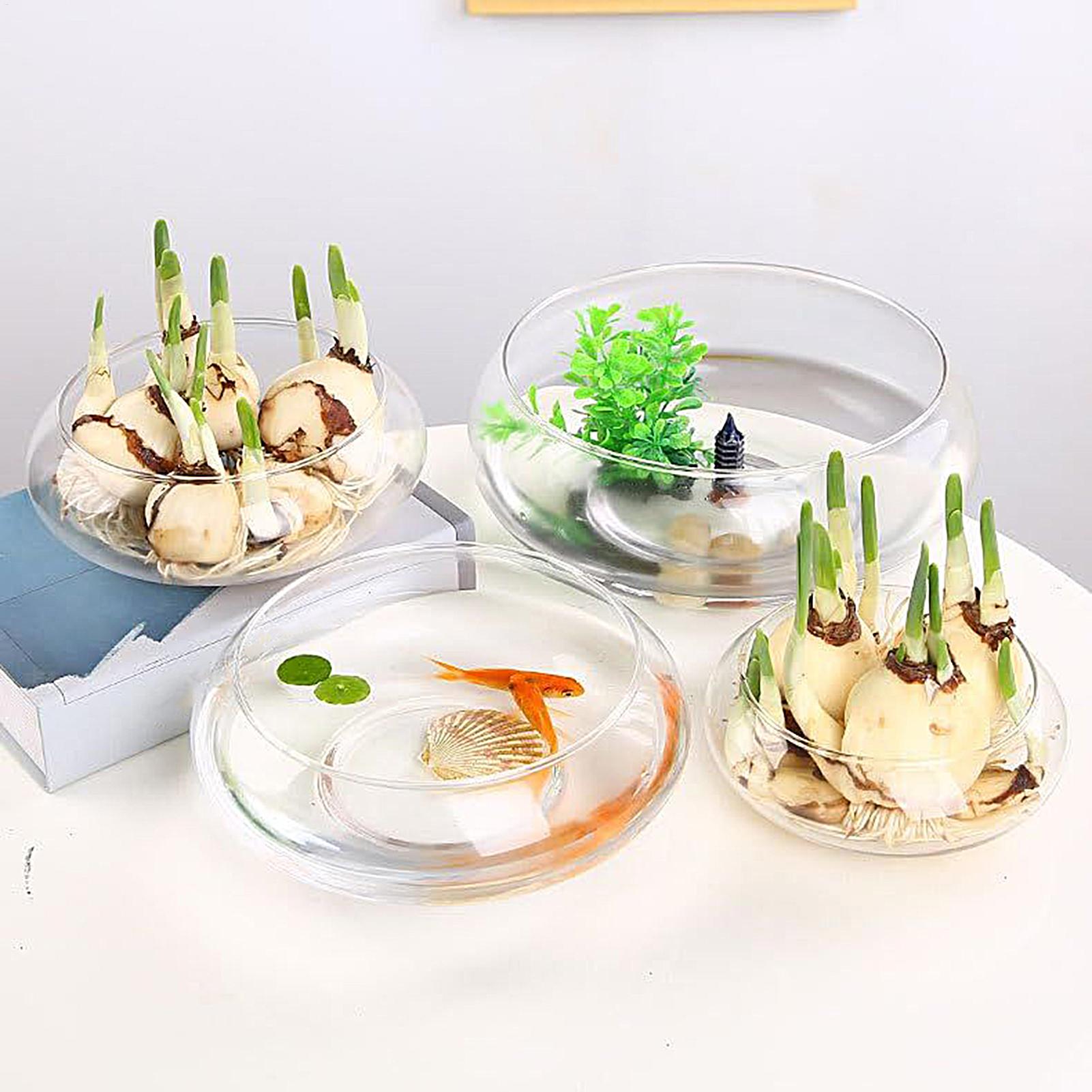 Aquarium Planted Aquarium - Fish Glass Bowl Glass Large Hydroponics