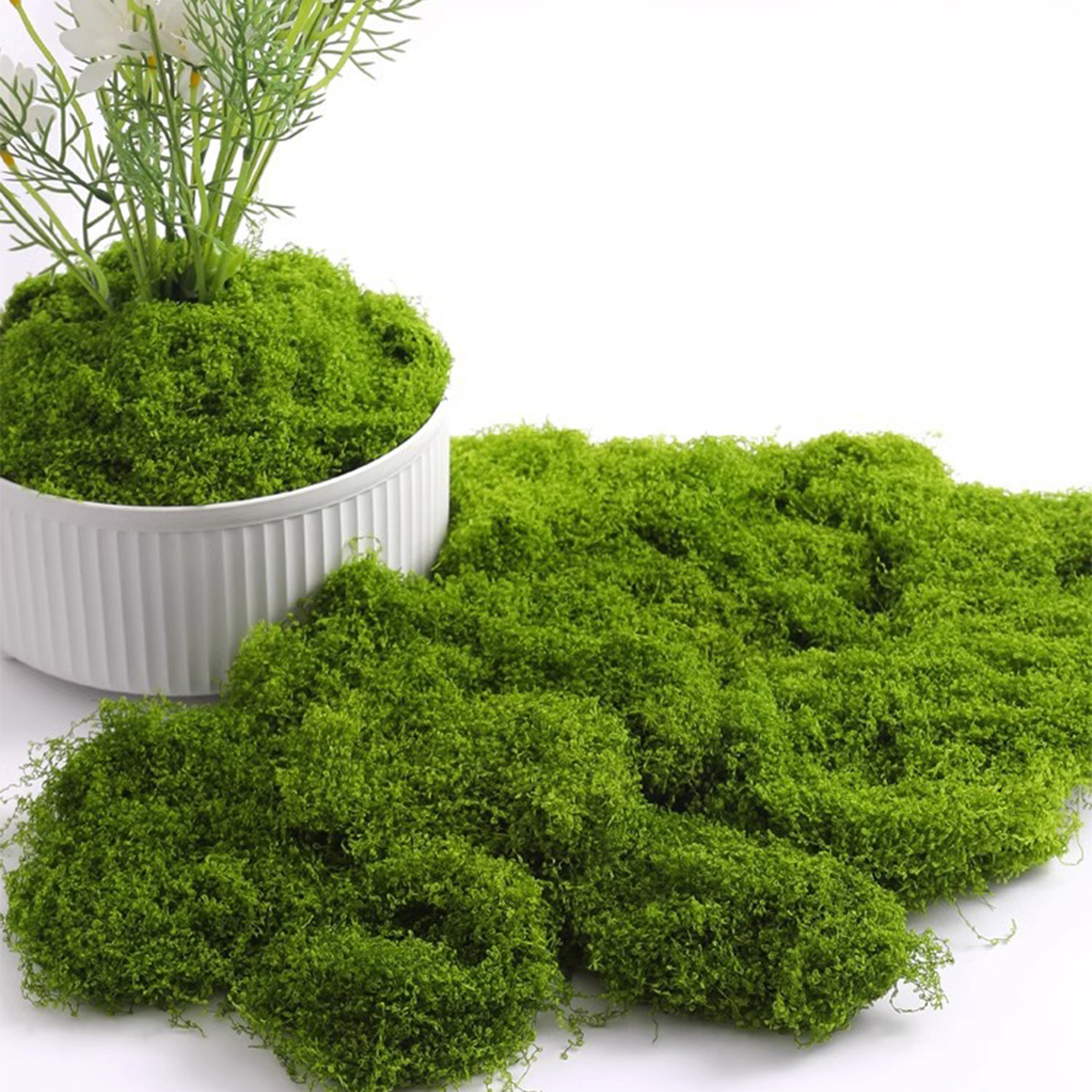 Eternal Life Moss DIY Crafts G - Aquarium Plant Root Tabs のレビューと価格