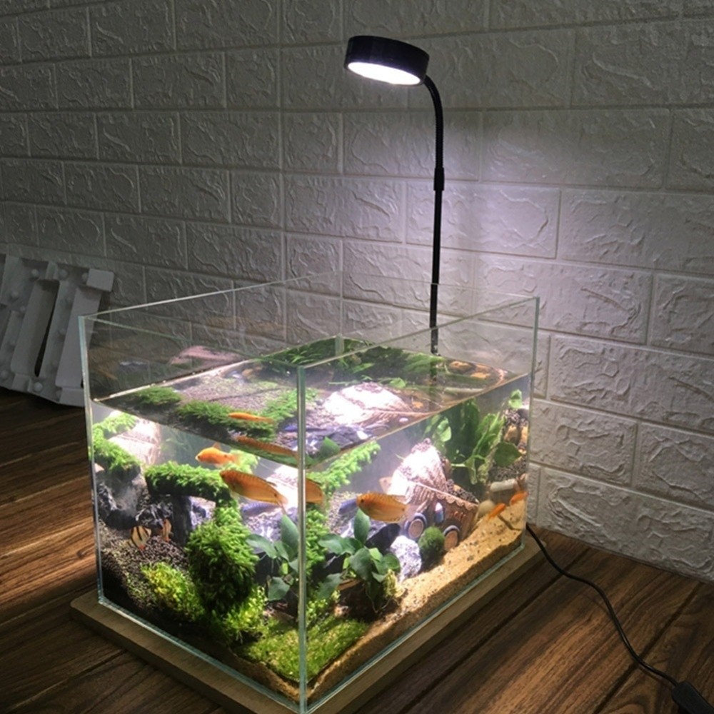 10W Fish Tank LED Lamp with Wo - Aquarium Plant On Wood のレビューと価格