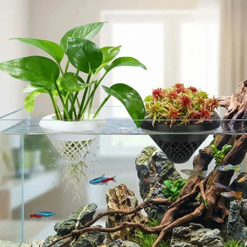3d Printed Floating Aquarium P - Planted Aquarium Jar のレビューと価格