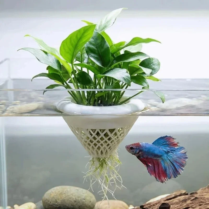 3d Printed Floating Aquarium P - Planted Aquarium Jar のレビューと価格