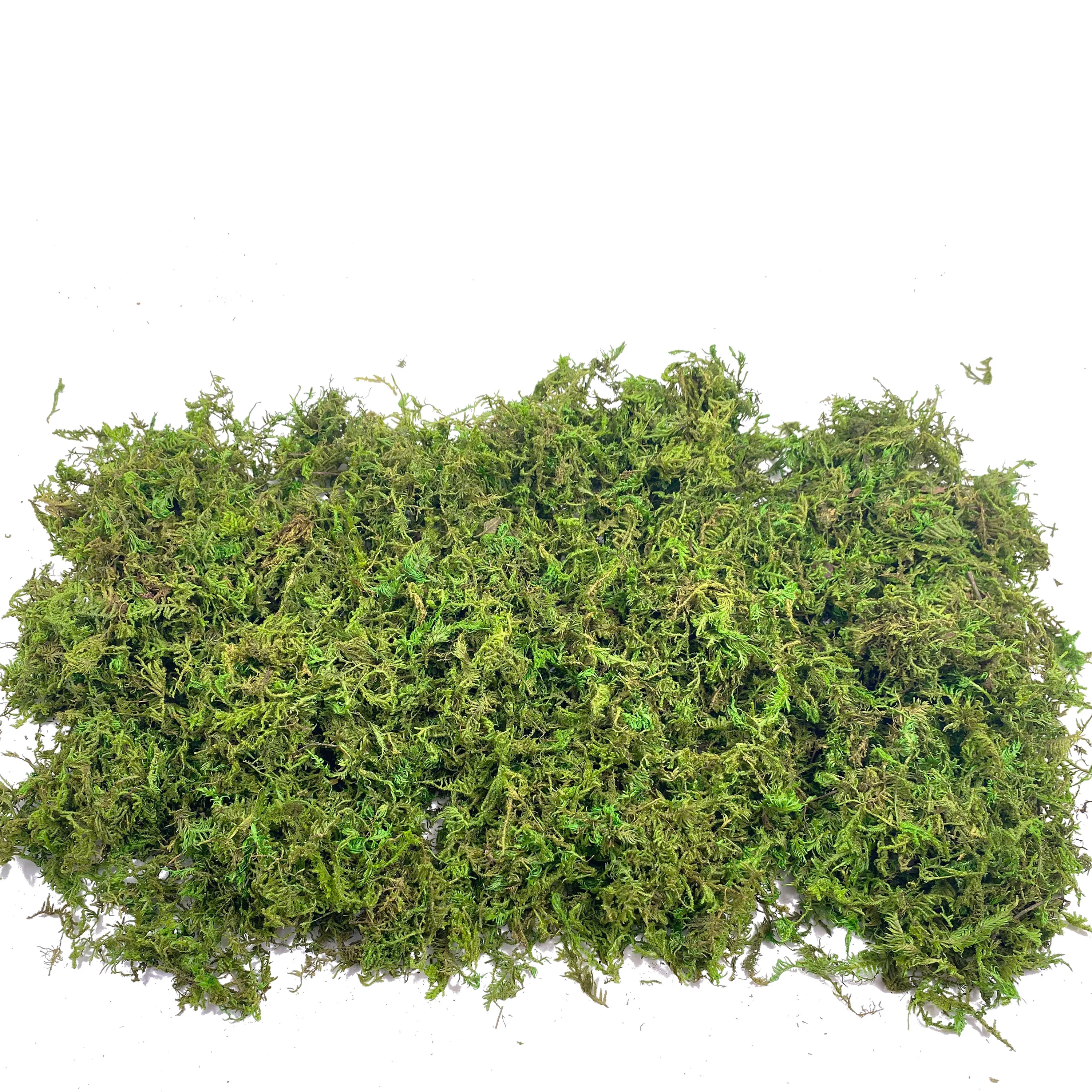 Fake Moss Artificial Moss for  - Aquarium Plant Root Tabs のレビューと価格