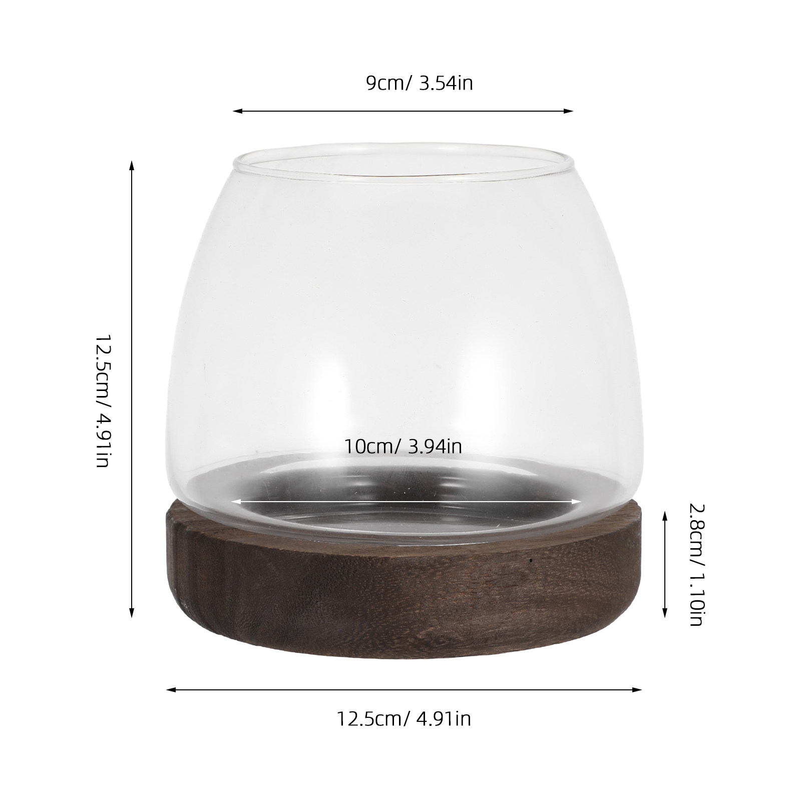 Clear Round Glass Hydroponic P - Planted Aquarium Jar のレビューと価格