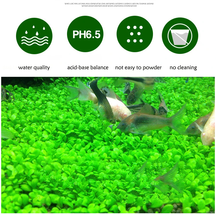 Fish Tank Water Grass Mud Plan - Aquarium Plant Root Tabs のレビューと価格