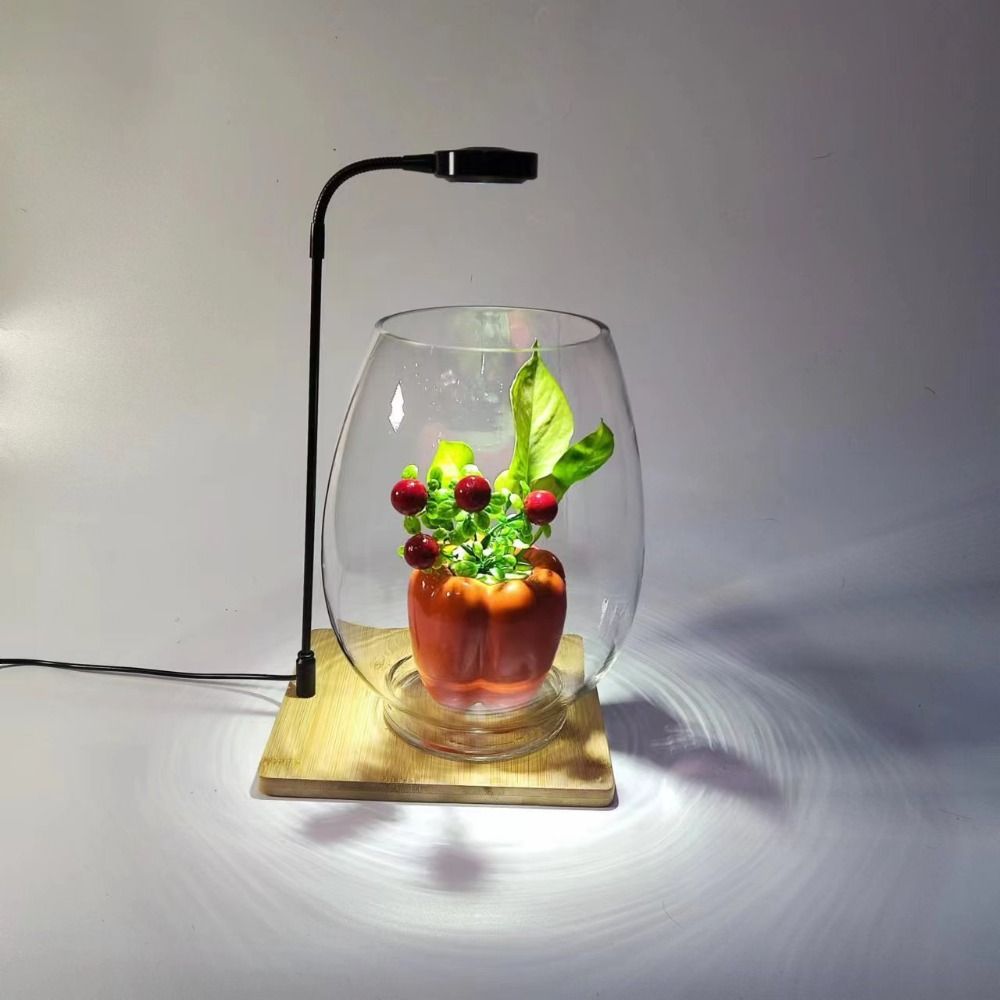 10W Aquarium Plant Fill Lamp w - Aquarium Plant On Wood のレビューと価格