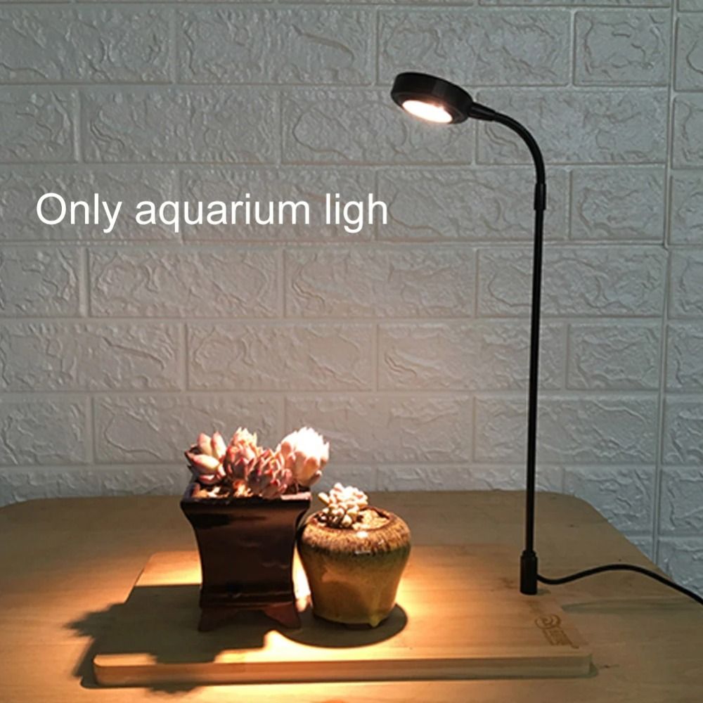 10W Aquarium Plant Fill Lamp w - Aquarium Plant On Wood のレビューと価格