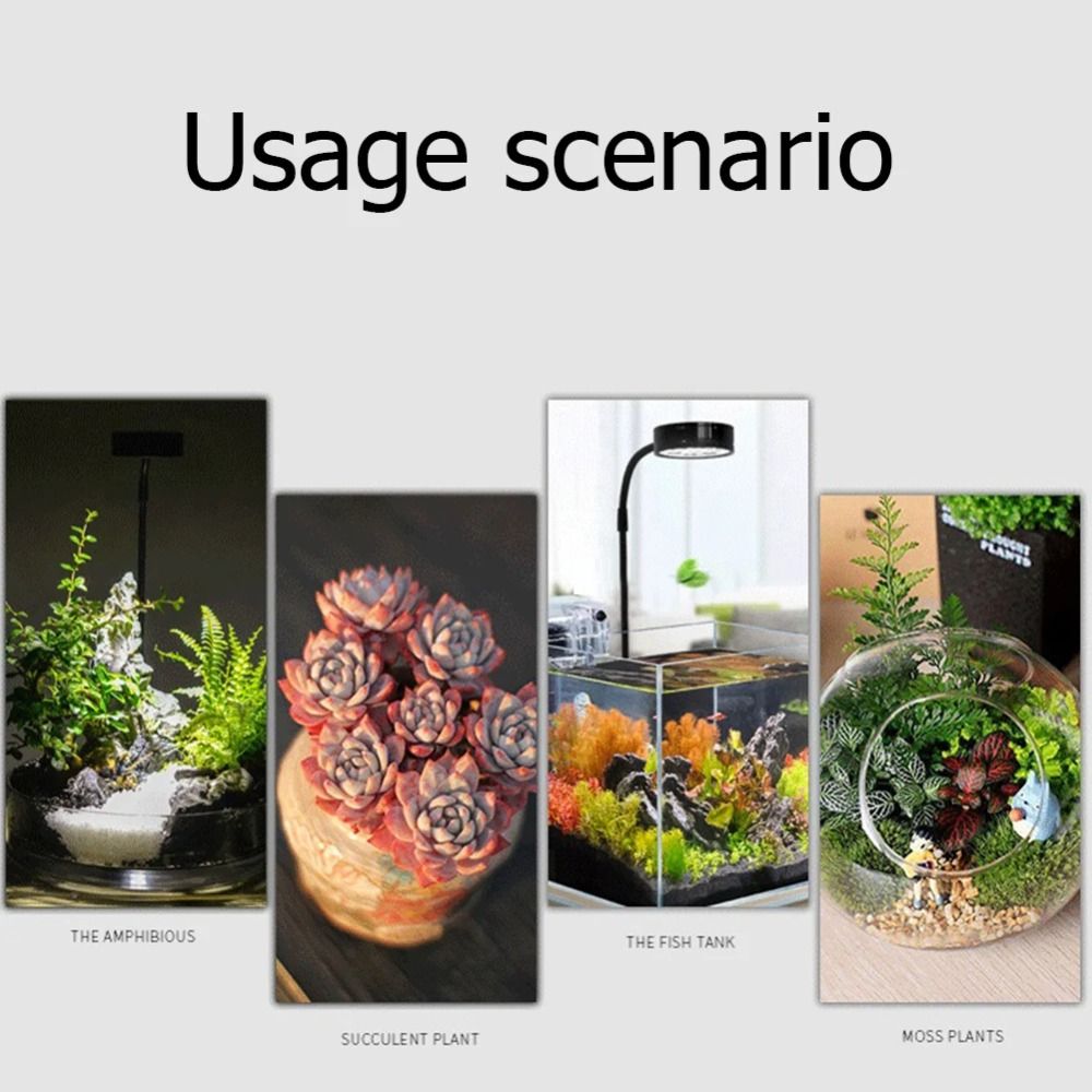 10W Aquarium Plant Fill Lamp w - Aquarium Plant On Wood のレビューと価格