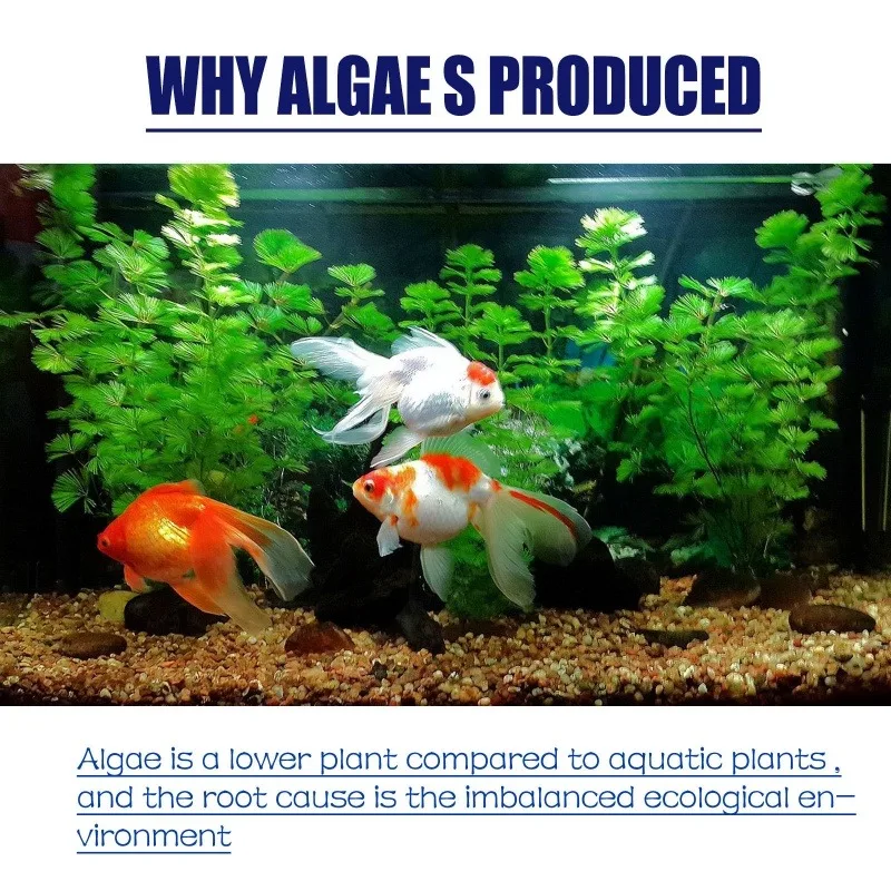 50g High Efficiency Algaecide  - Aquarium Plant Delivery のレビューと価格