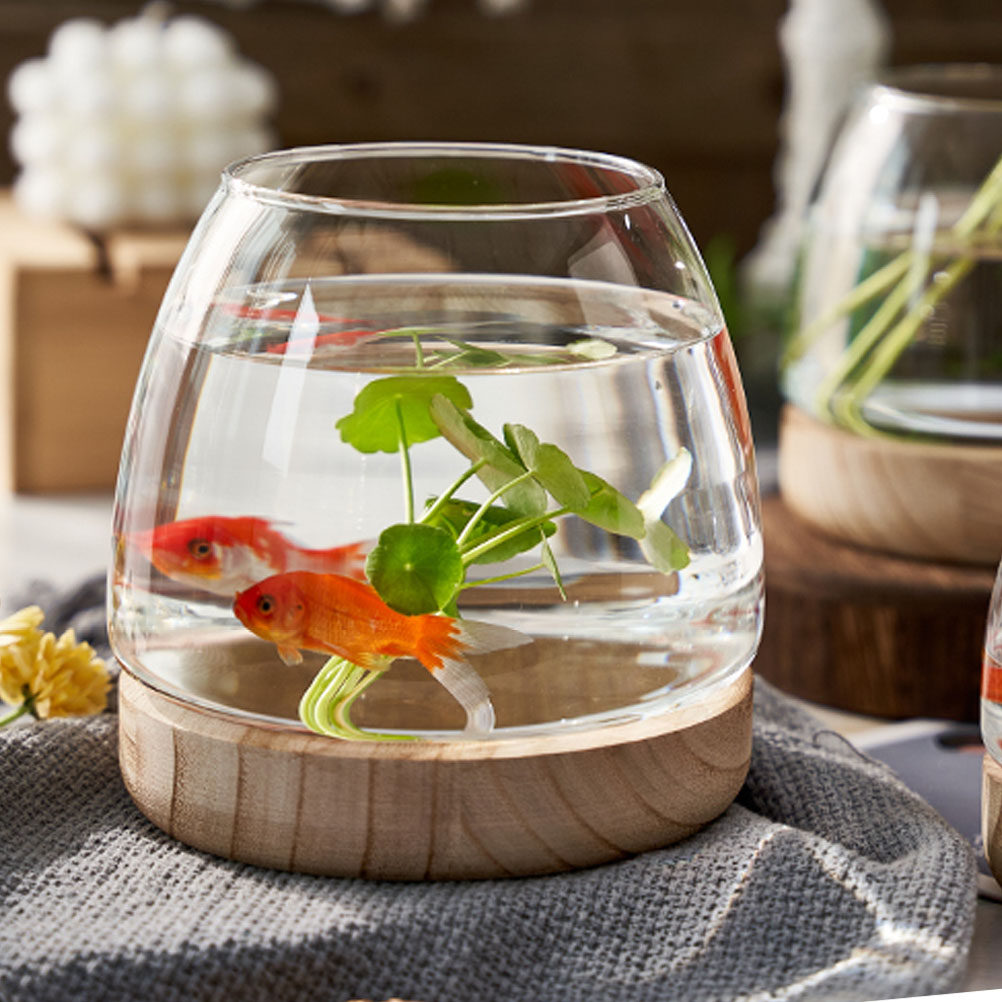 1Set Premium Glass Hydroponic  - Aquarium Planted Aquarium のレビューと価格