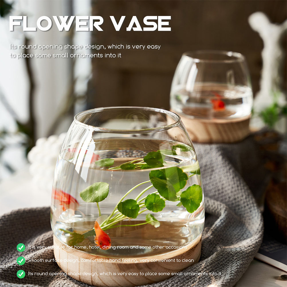 1Set Premium Glass Hydroponic  - Aquarium Planted Aquarium のレビューと価格