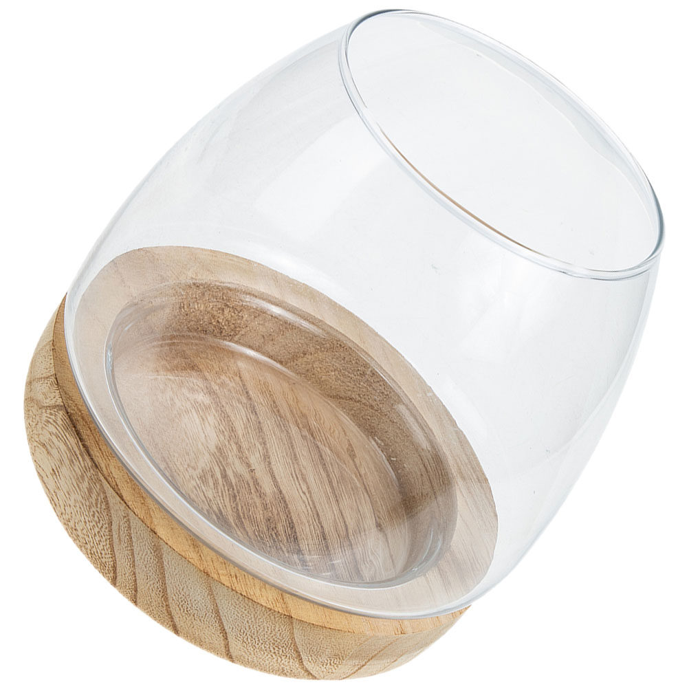 1Set Premium Glass Hydroponic  - Aquarium Planted Aquarium のレビューと価格