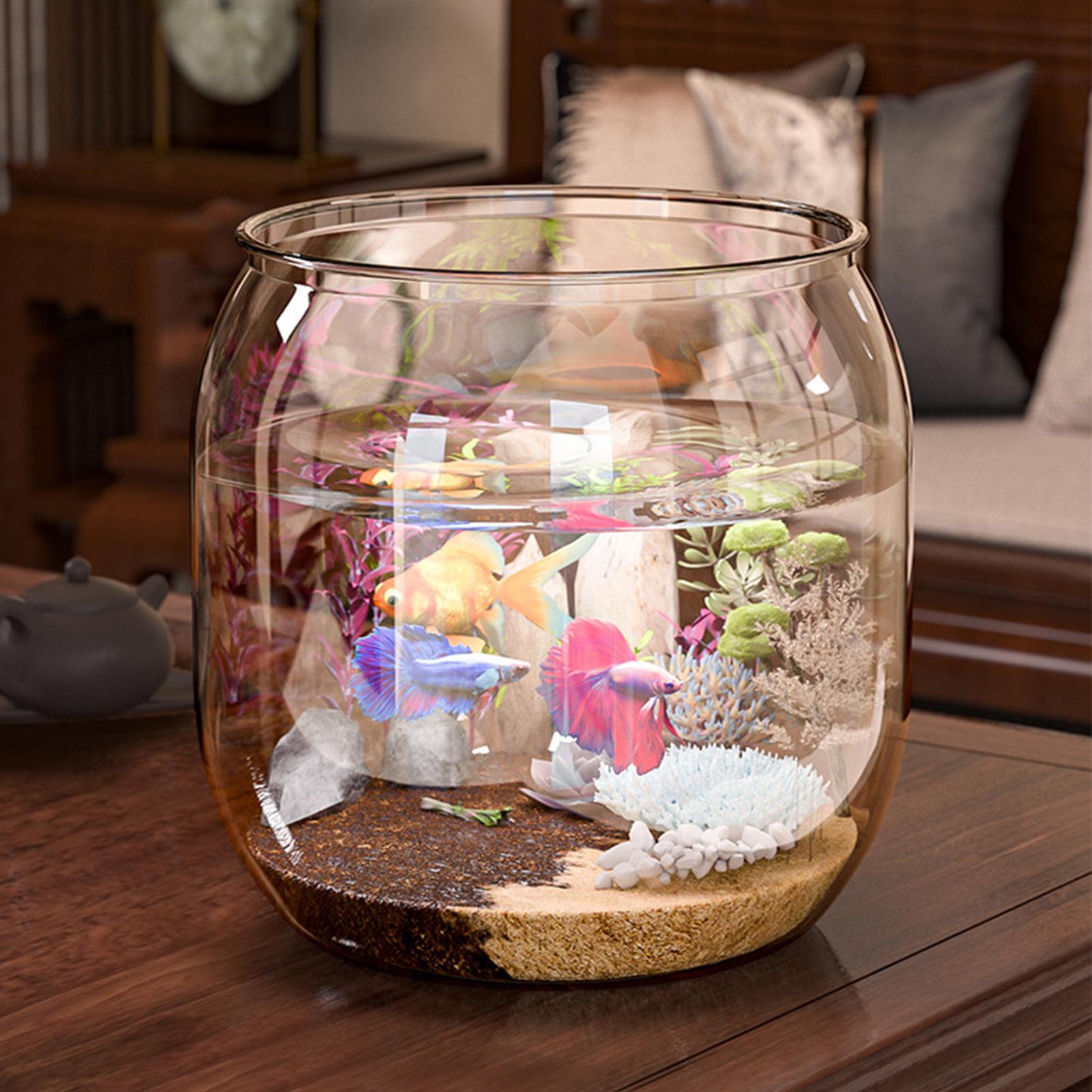 Round Fish Bowl Decorative Cle - Planted Aquarium Jar のレビューと価格
