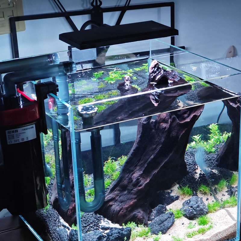 Aquarium Fish Tank Full Spectr - Planted Aquarium Cycling のレビューと価格