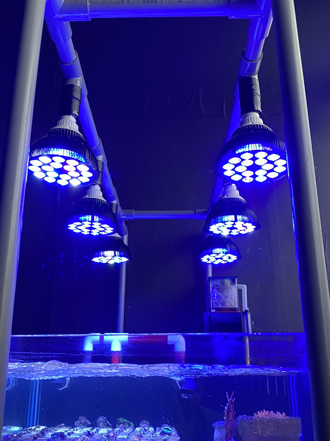 Full specturm LED Aquarium Ree - Aquarium Plant Growth Light のレビューと価格