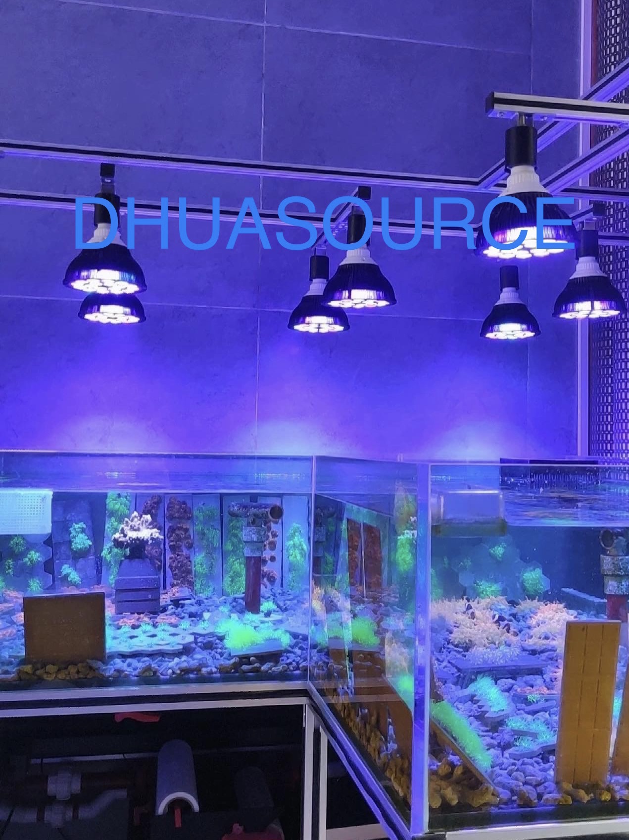 Full specturm LED Aquarium Ree - Aquarium Plant Growth Light のレビューと価格