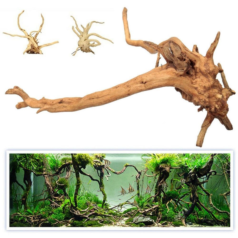 New Natural Wooden Fish Tank D - Aquarium Plant Root Tabs のレビューと価格