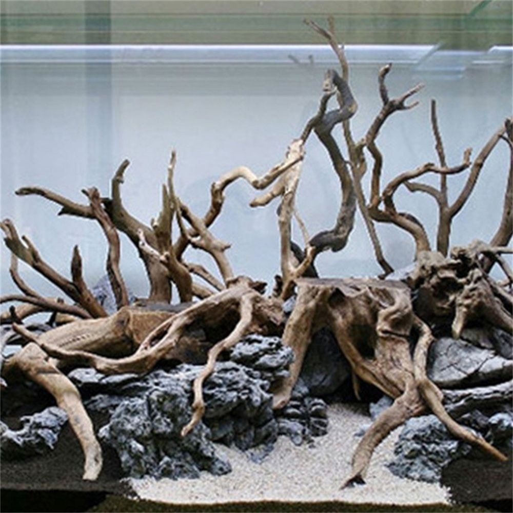 New Natural Wooden Fish Tank D - Aquarium Plant Root Tabs のレビューと価格