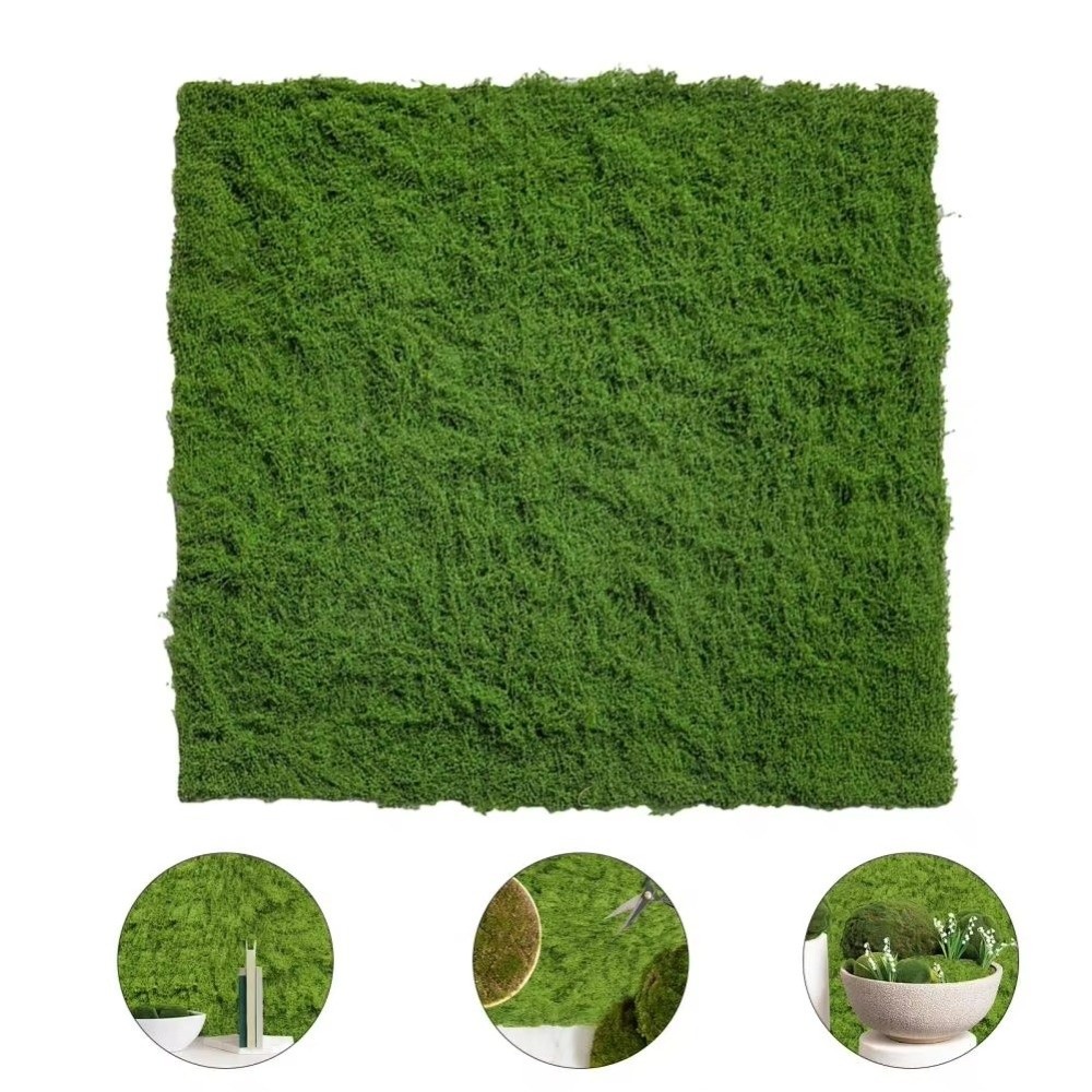 DIY Artificial Grass Rug Lifel - Aquarium Plant Root Tabs のレビューと価格