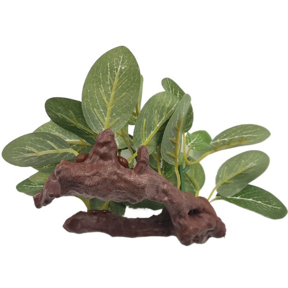 Creative Silk Green Simulated  - Planted Aquarium Jar のレビューと価格