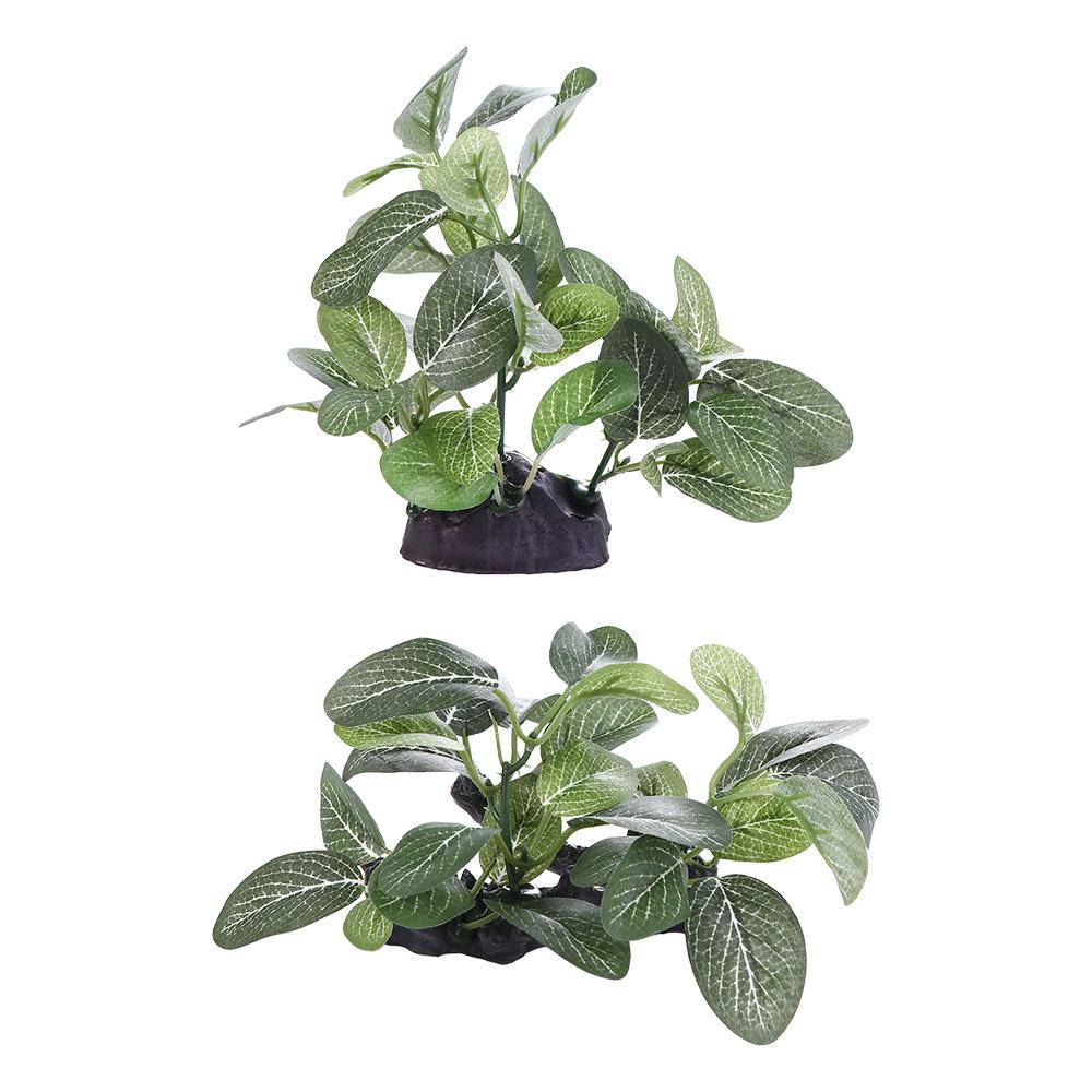 Creative Silk Green Simulated  - Planted Aquarium Jar のレビューと価格