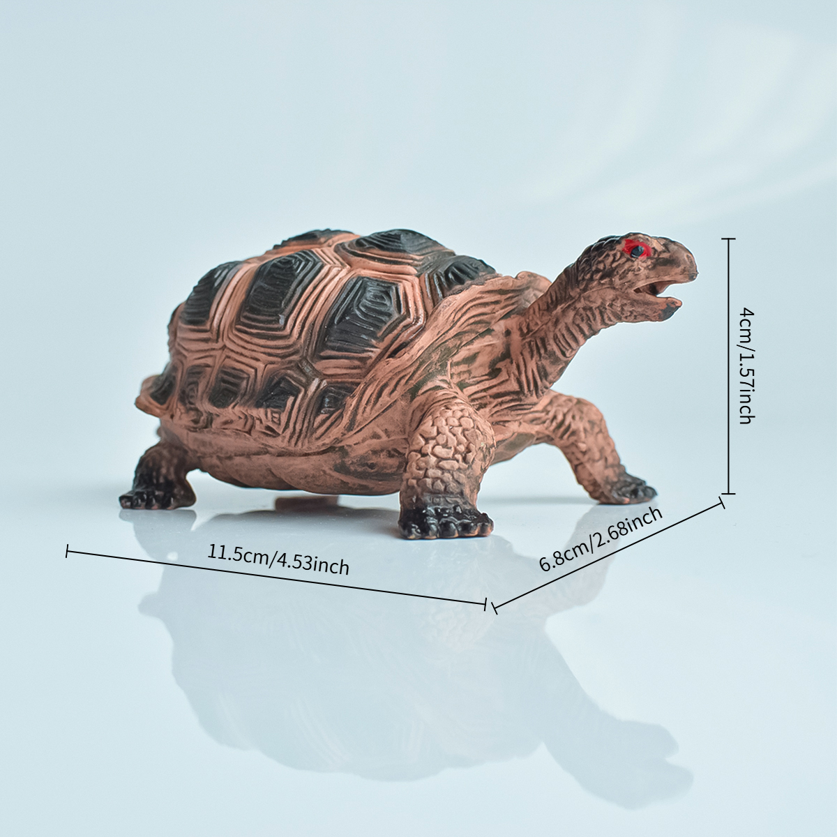 Painted Realistic Animal Turtl - Aquarium Planted Aquarium のレビューと価格