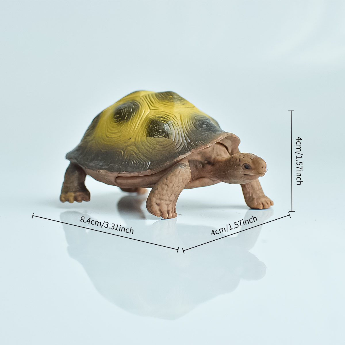 Painted Realistic Animal Turtl - Aquarium Planted Aquarium のレビューと価格