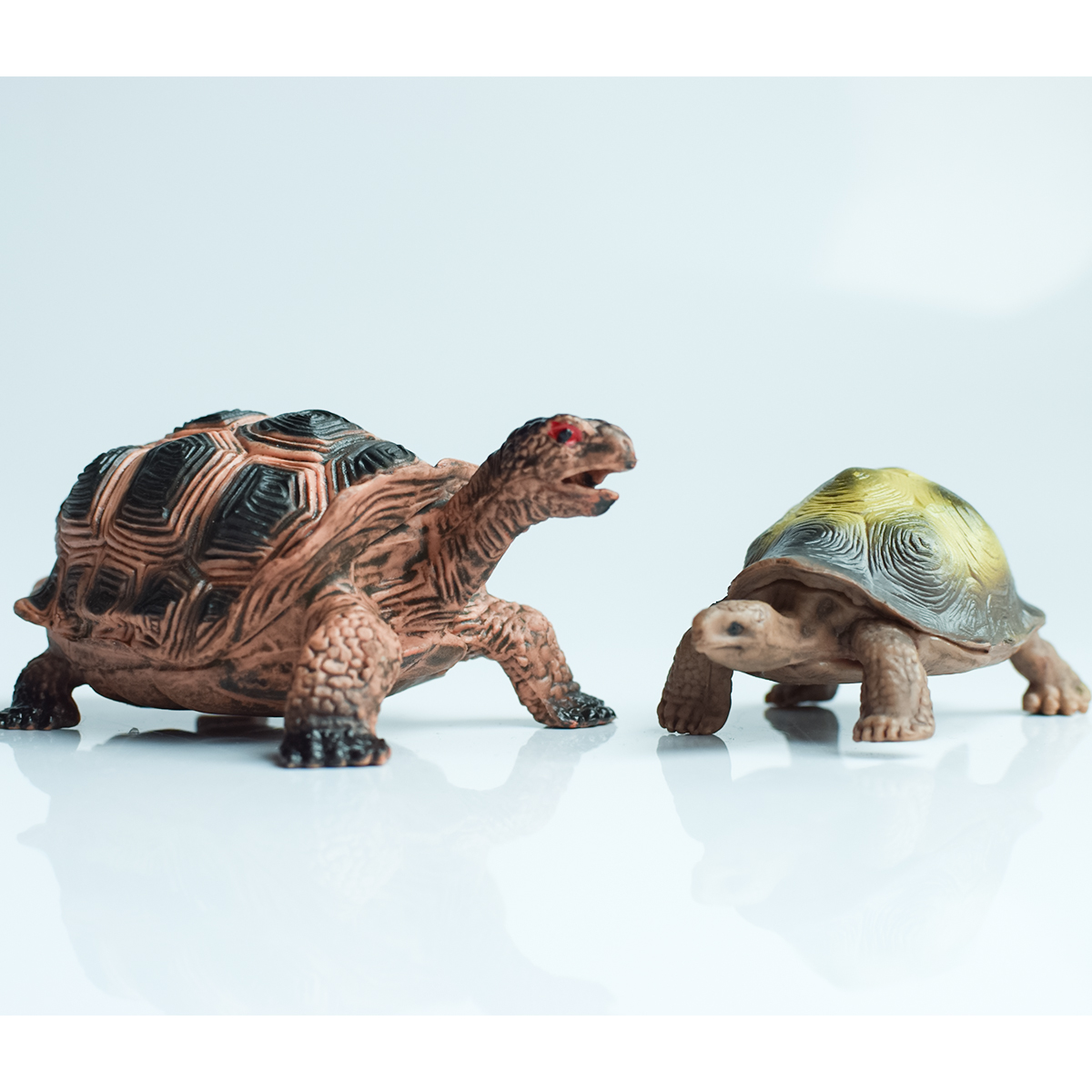 Painted Realistic Animal Turtl - Aquarium Planted Aquarium のレビューと価格