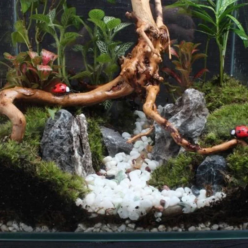 Natural Tree Trunk Driftwood A - Aquarium Plant Root Tabs のレビューと価格