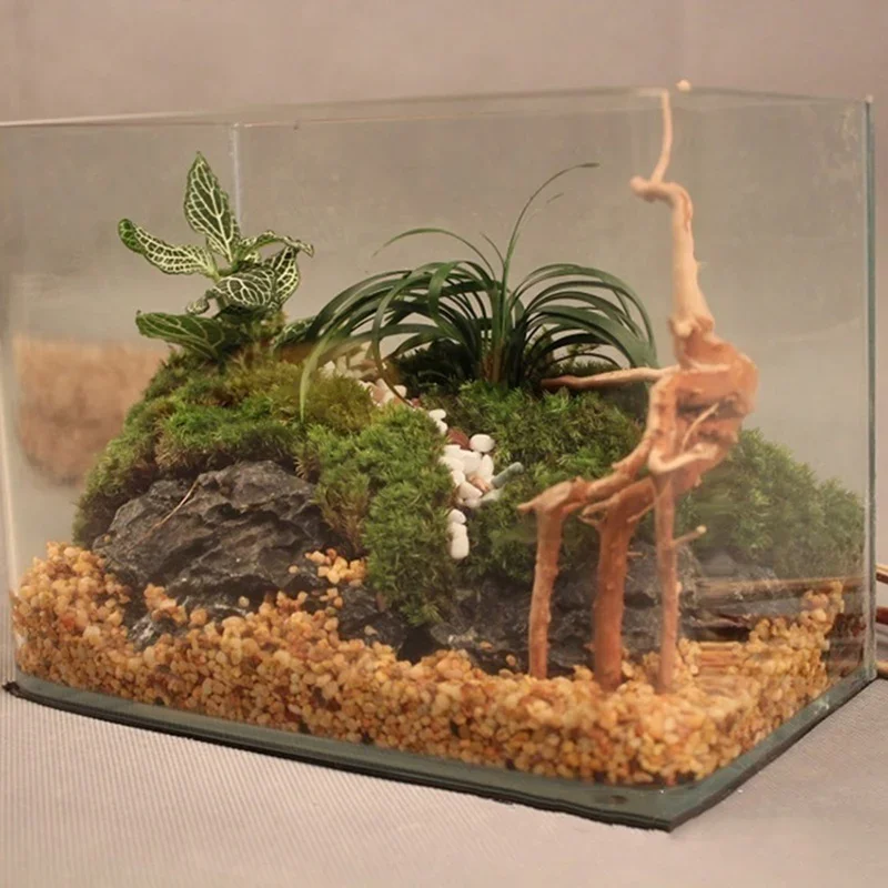 Natural Tree Trunk Driftwood A - Aquarium Plant Root Tabs のレビューと価格