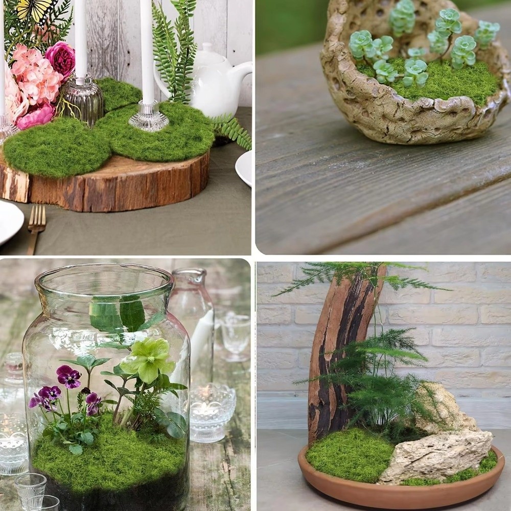 DIY Artificial Grass Rug Durab - Aquarium Plant Root Tabs のレビューと価格