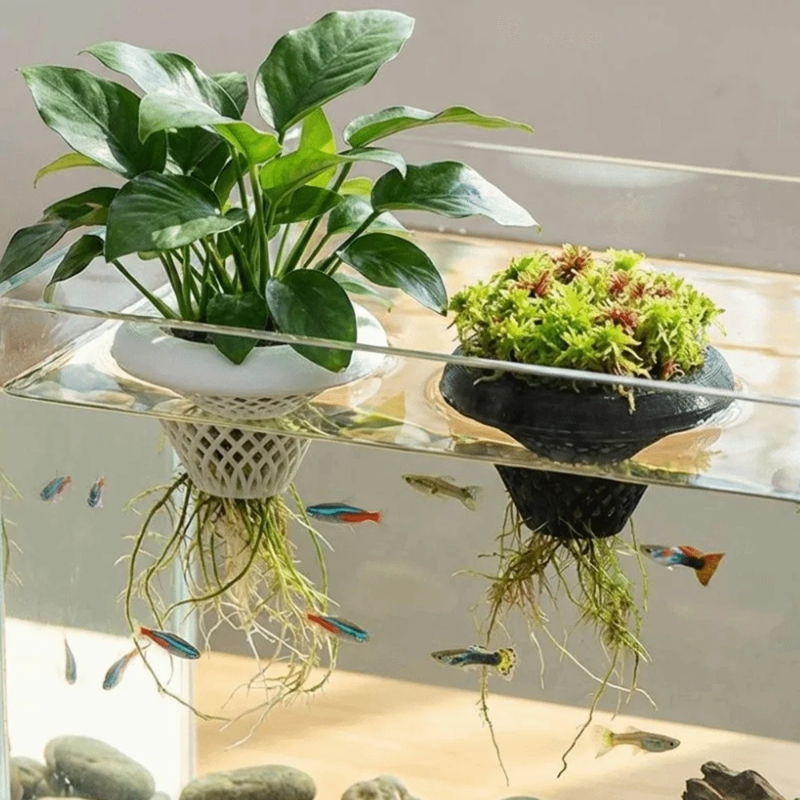 Floating Aquarium Plant Pot, 3 - Planted Aquarium Jar のレビューと価格