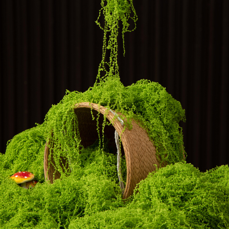 200g Eternal Life Moss DIY Cra - Aquarium Plant Root Tabs のレビューと価格