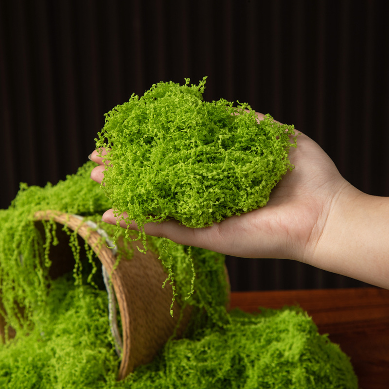 200g Eternal Life Moss DIY Cra - Aquarium Plant Root Tabs のレビューと価格