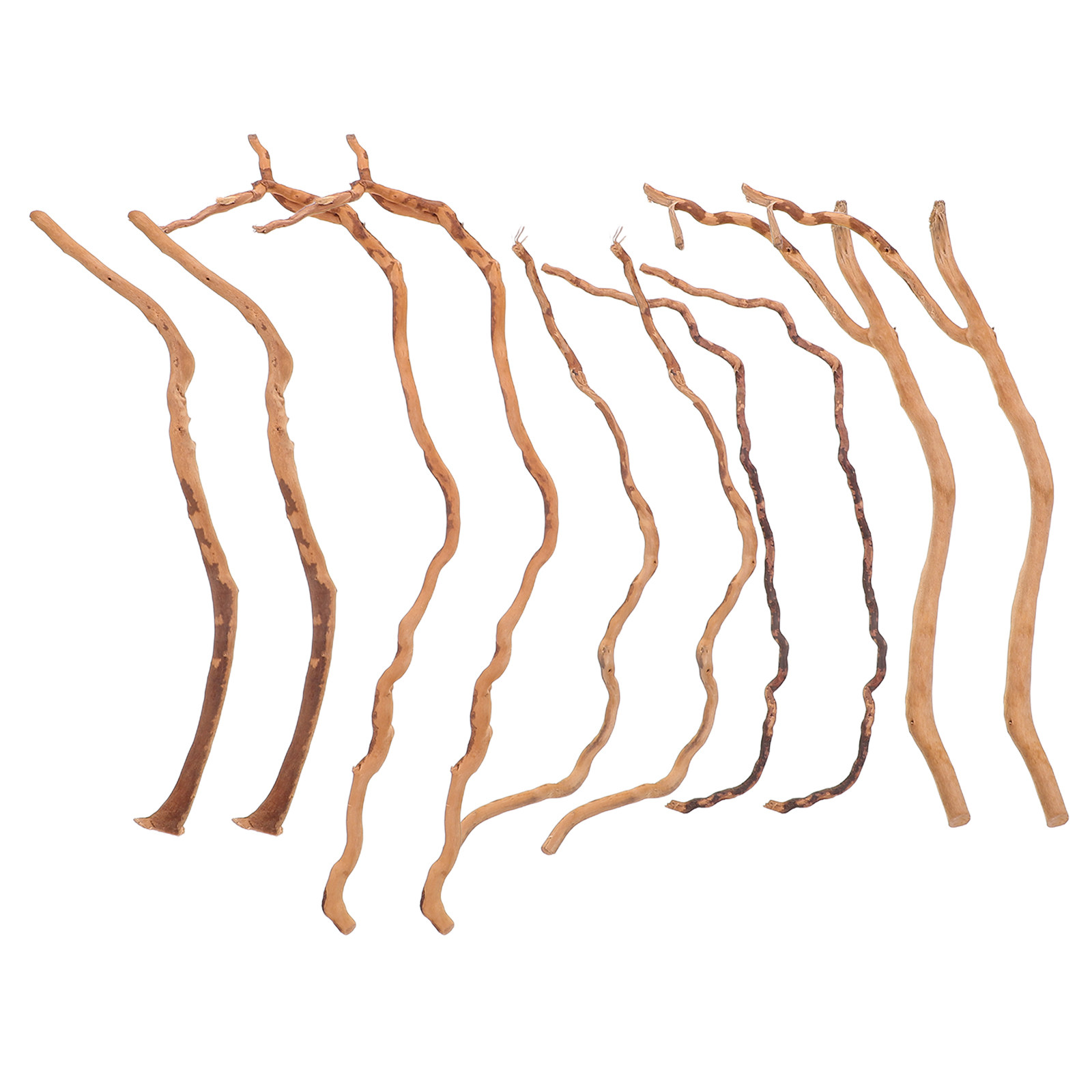 Natural Driftwood Branch For A - Aquarium Plant On Wood のレビューと価格