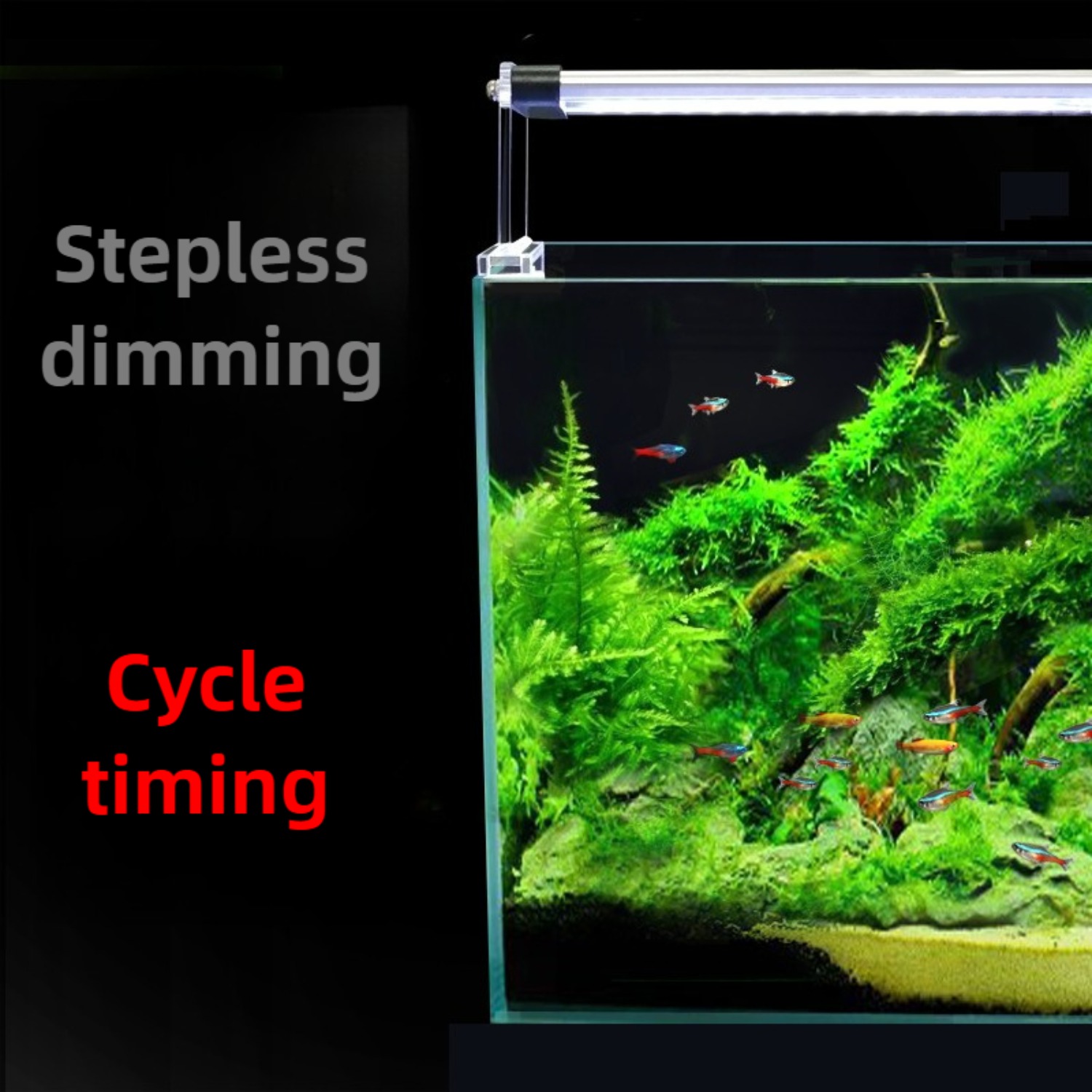 24/7 Cycle LED Aquarium Light  - Planted Aquarium Cycling のレビューと価格