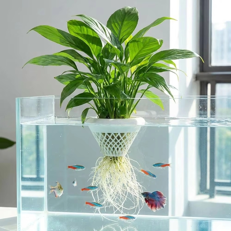 Floating Aquarium Plant Pot, 3 - Planted Aquarium Jar のレビューと価格