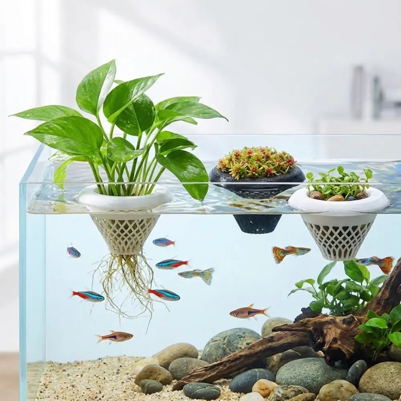Floating Aquarium Plant Pot, 3 - Planted Aquarium Jar のレビューと価格