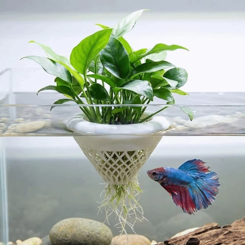 Floating Aquarium Plant Pot, 3 - Planted Aquarium Jar のレビューと価格