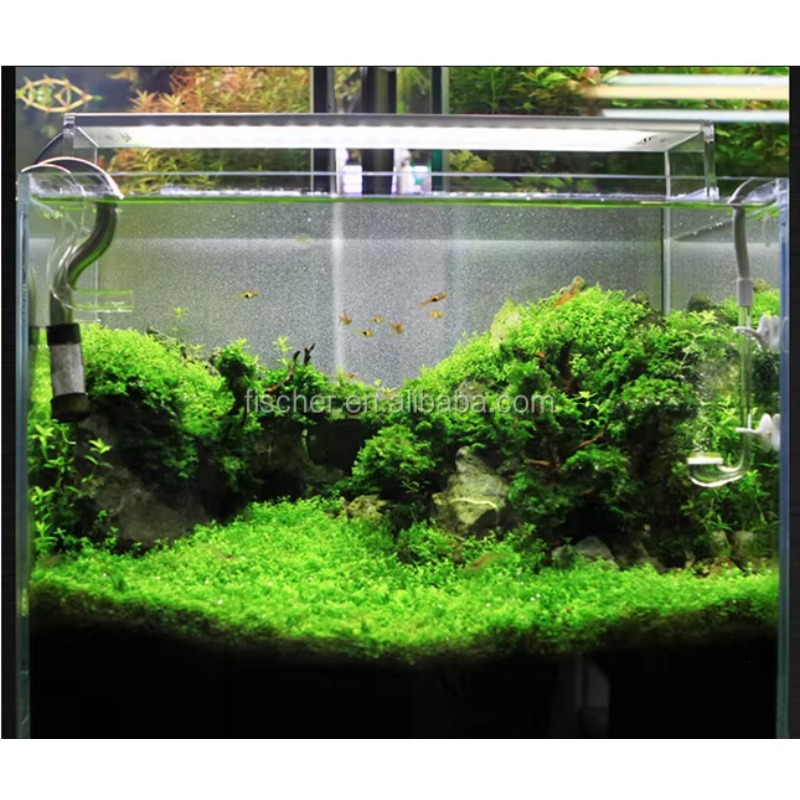 A801 Professional LED Aquarium - Planted Aquarium Jar のレビューと価格