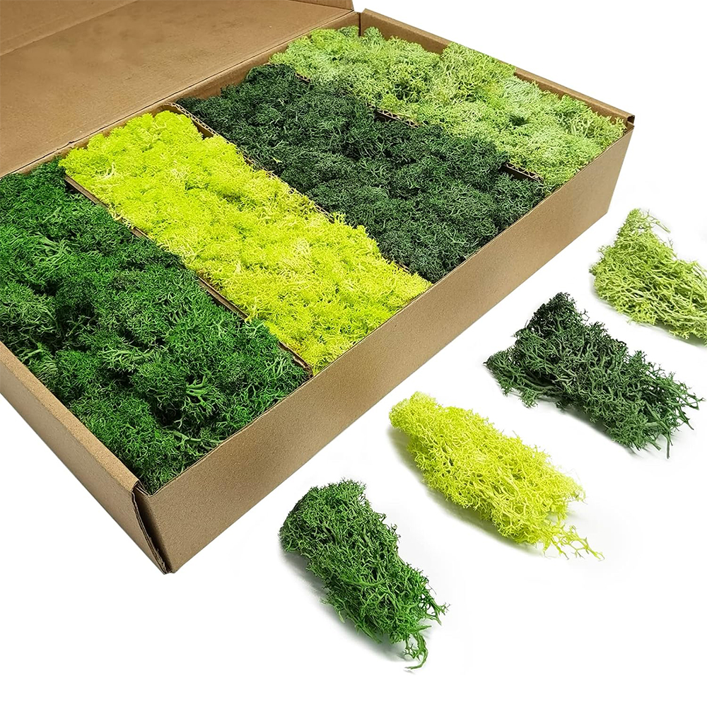 Artificial Green Plants Eterna - Aquarium Plant Root Tabs のレビューと価格