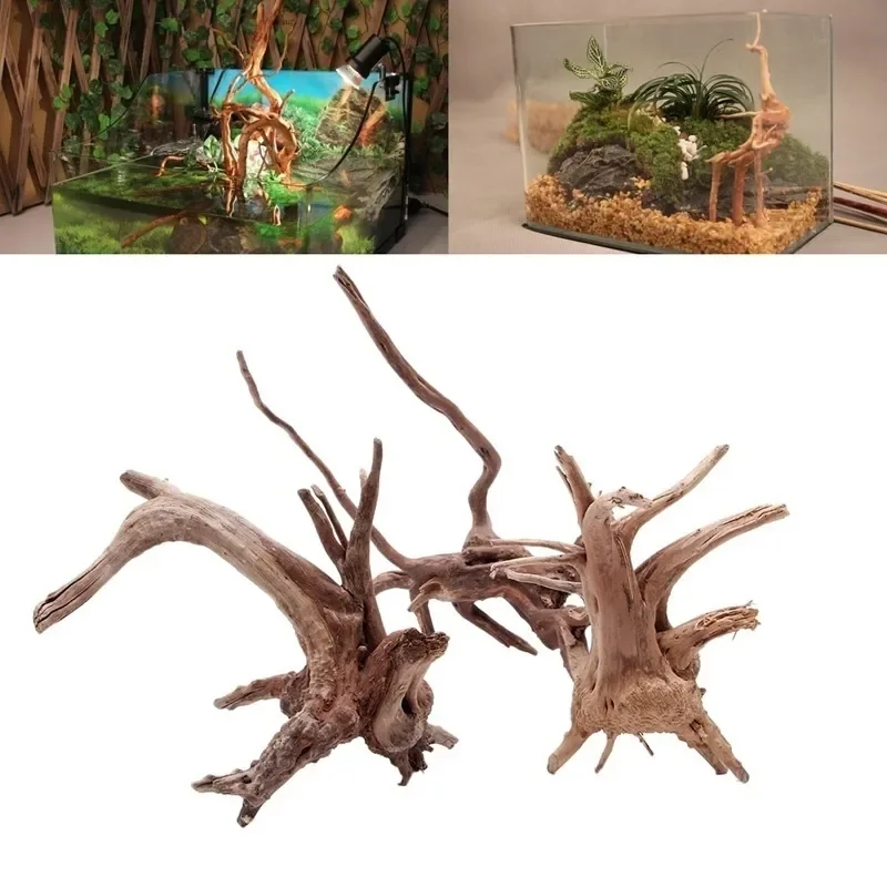 Natural Tree Trunk Driftwood A - Aquarium Plant Root Tabs のレビューと価格