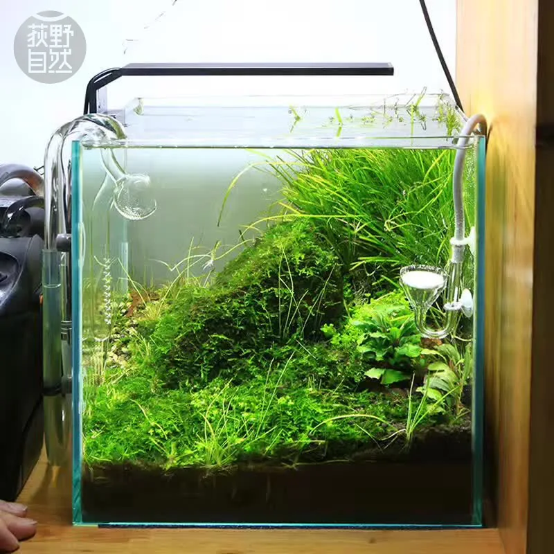 Chihiros C Series ADA Style Pl - Aquarium Plant Growth Light のレビューと価格