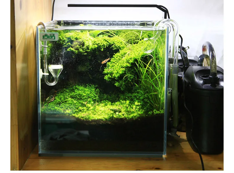 Chihiros C Series ADA Style Pl - Aquarium Plant Growth Light のレビューと価格