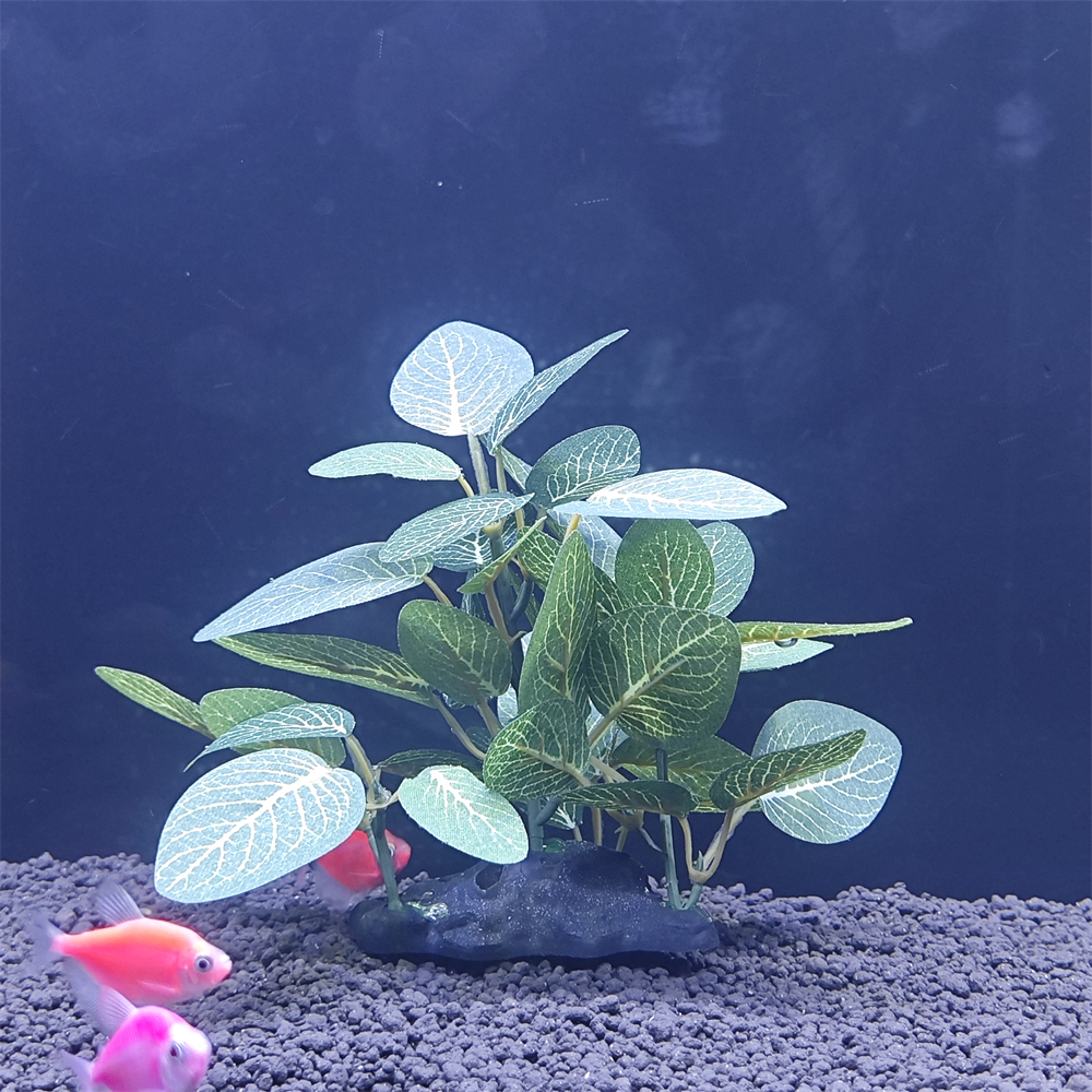 Aquarium simulation plant Plas - Aquarium Plant Root Tabs のレビューと価格