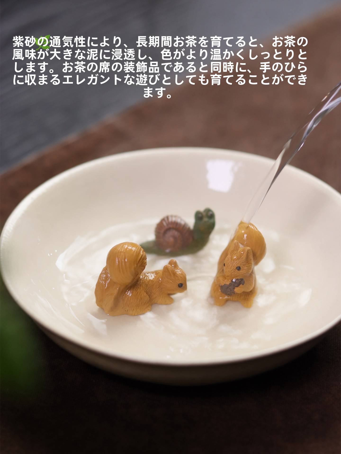  Purple Clay Tea Pet Squirrel  - Aquarium Planted Aquarium のレビューと価格