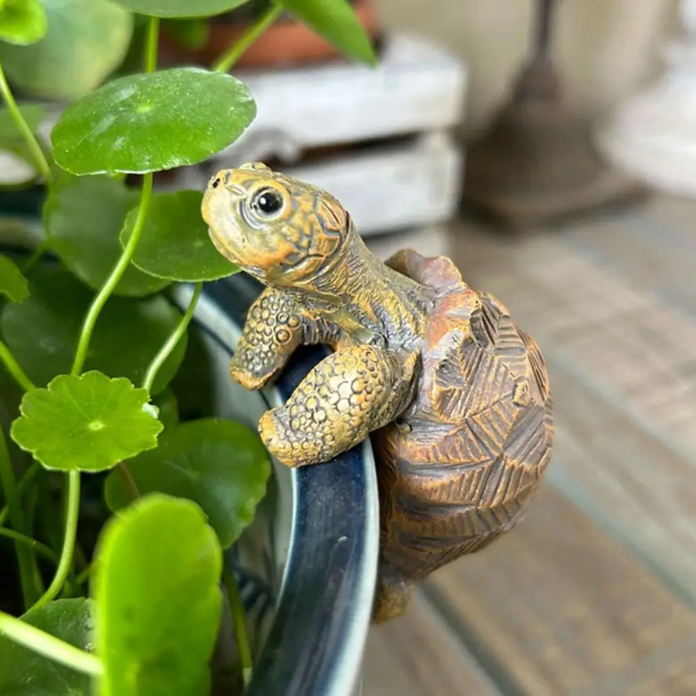 Fishing Turtle Hanging Turtle  - Aquarium Planted Aquarium のレビューと価格